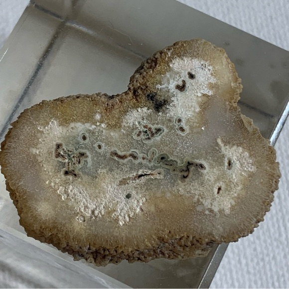 Las Torres Mine Uruguay Stalactite Slice Polished Crystal Display Specimen 1.4 - Picture 1 of 7